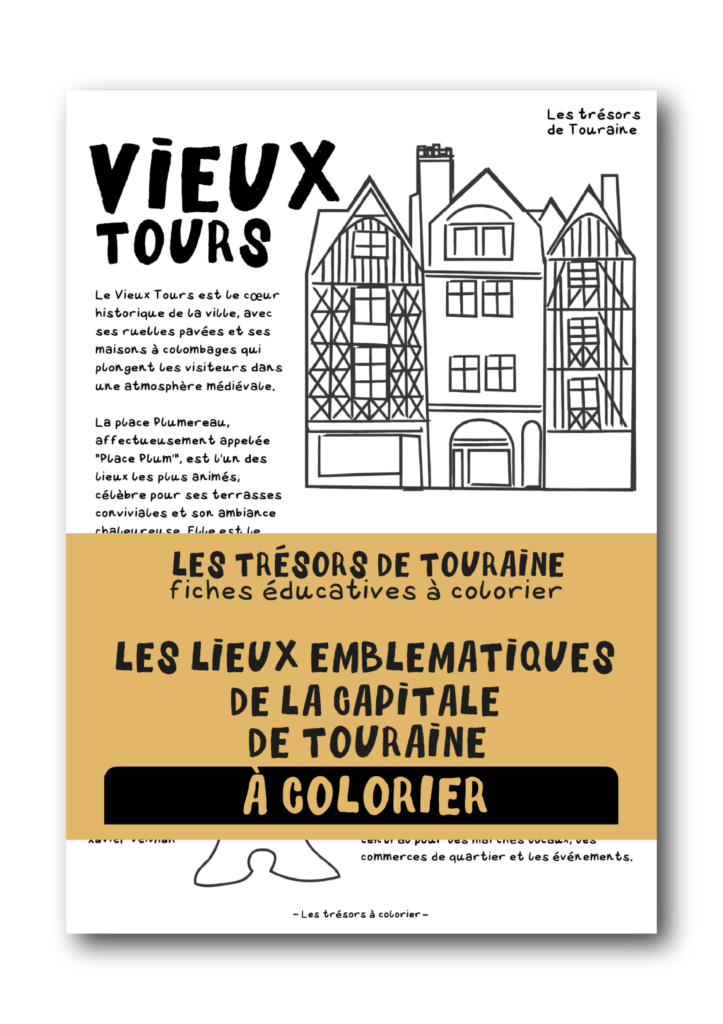 Châteaux de Loire, Châteaux Touraine, Chenonnceau, Azay-le-rideau, vin, vouvray, chinon, Tours, coloriage, adulte, enfant, aquarelle, tourisme,