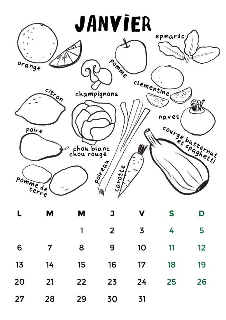fiches a colorier fruit et légumes saison calendrier Tours Touraine fait main aquarelle bio local épicerie