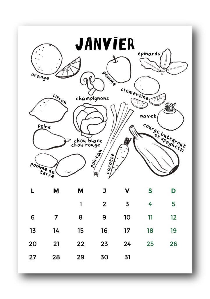 fiches a colorier fruit et légumes saison calendrier Tours Touraine fait main aquarelle bio local épicerie